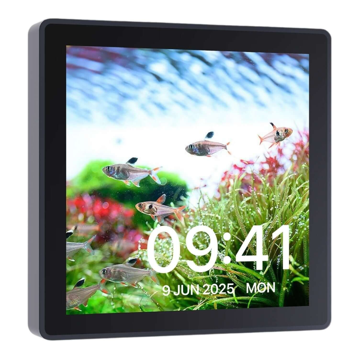 Chihiros WiFi Hub Pro